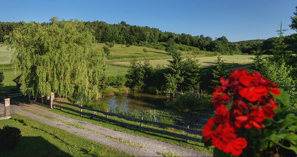 Tourist Farm Mali Raj Villa Dolány Kültér fotó