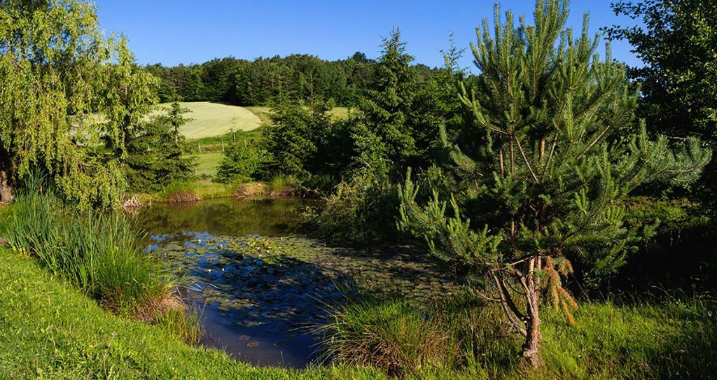 Tourist Farm Mali Raj Villa Dolány Kültér fotó