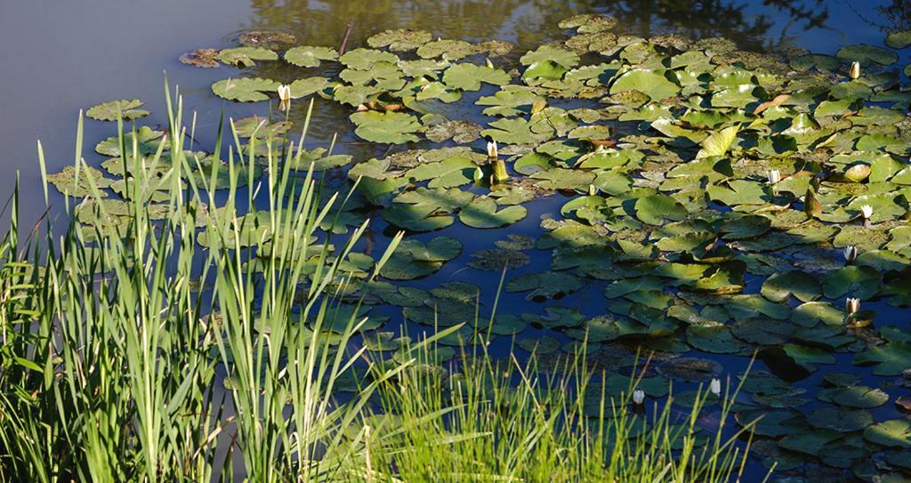 Tourist Farm Mali Raj Villa Dolány Kültér fotó