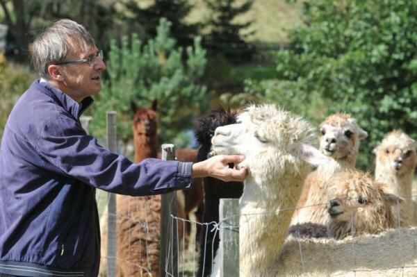 Tourist Farm Mali Raj Villa Dolány Kültér fotó